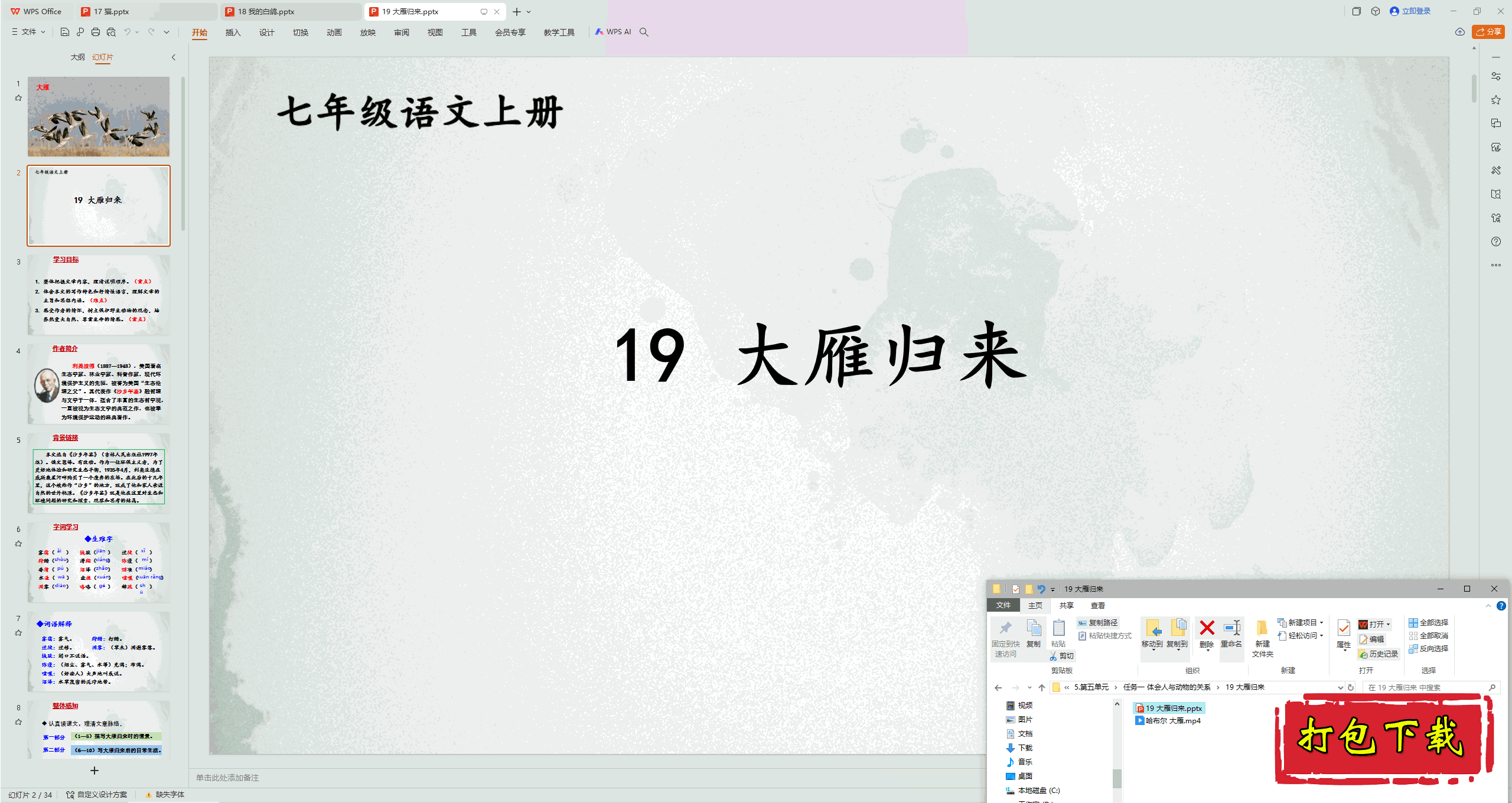 꼶ġϲ᣺19 pptμ