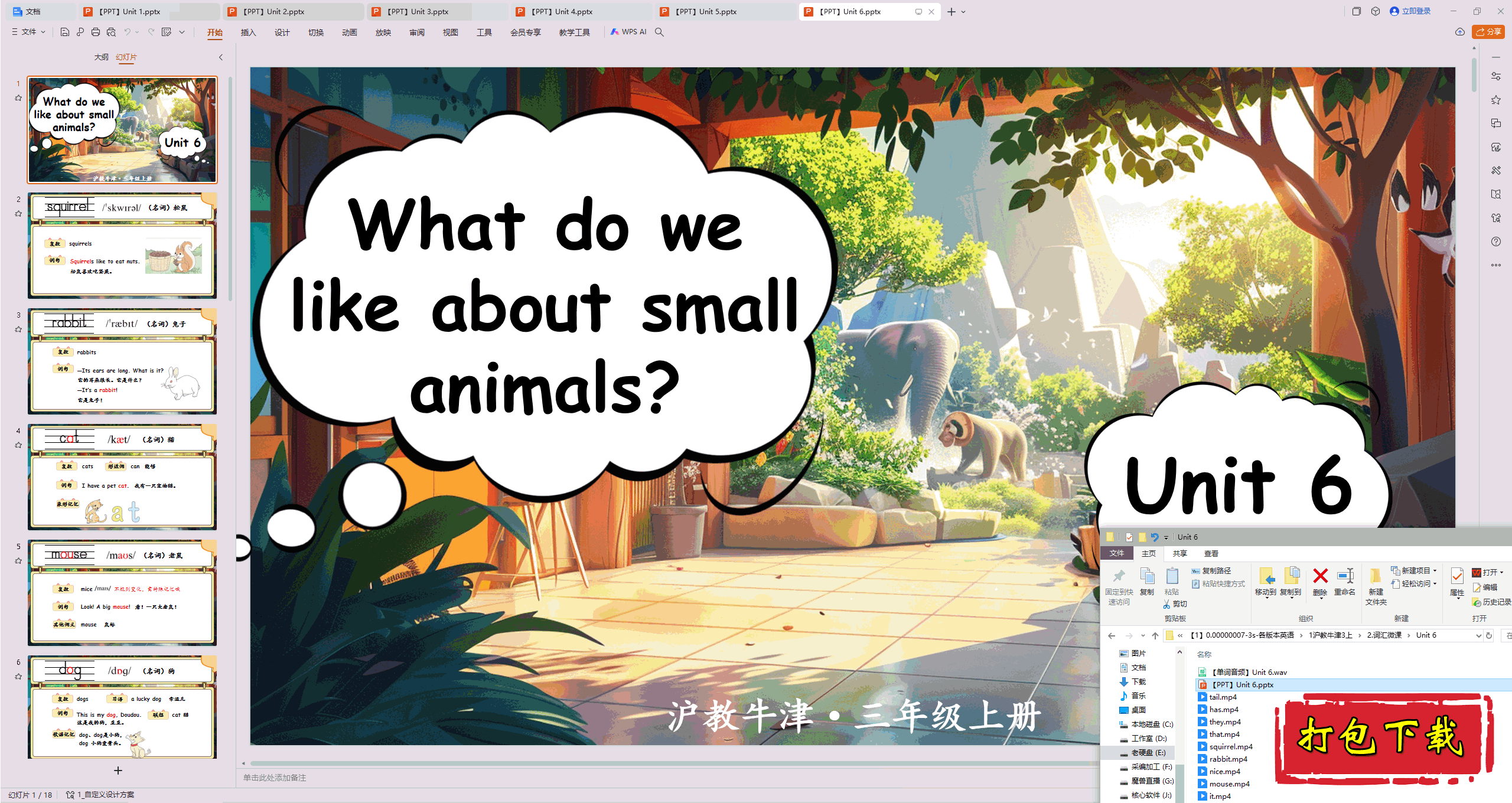 ʻΣUnit 6 What do we like about small animals? pptμ