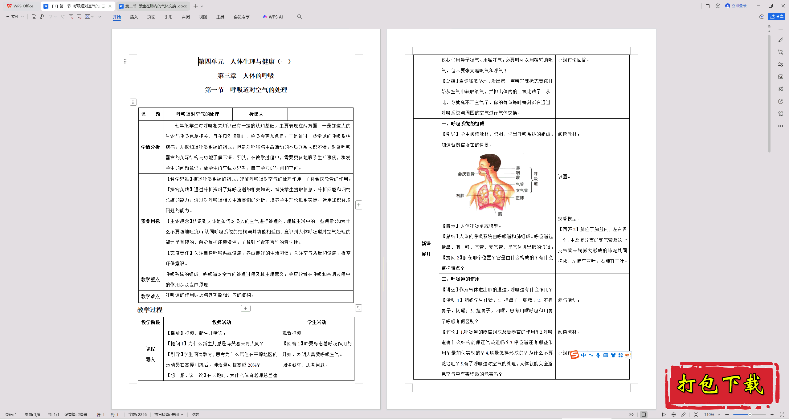 2025人教版《生物学》七下：第一节 呼吸道对空气的处理 教案
