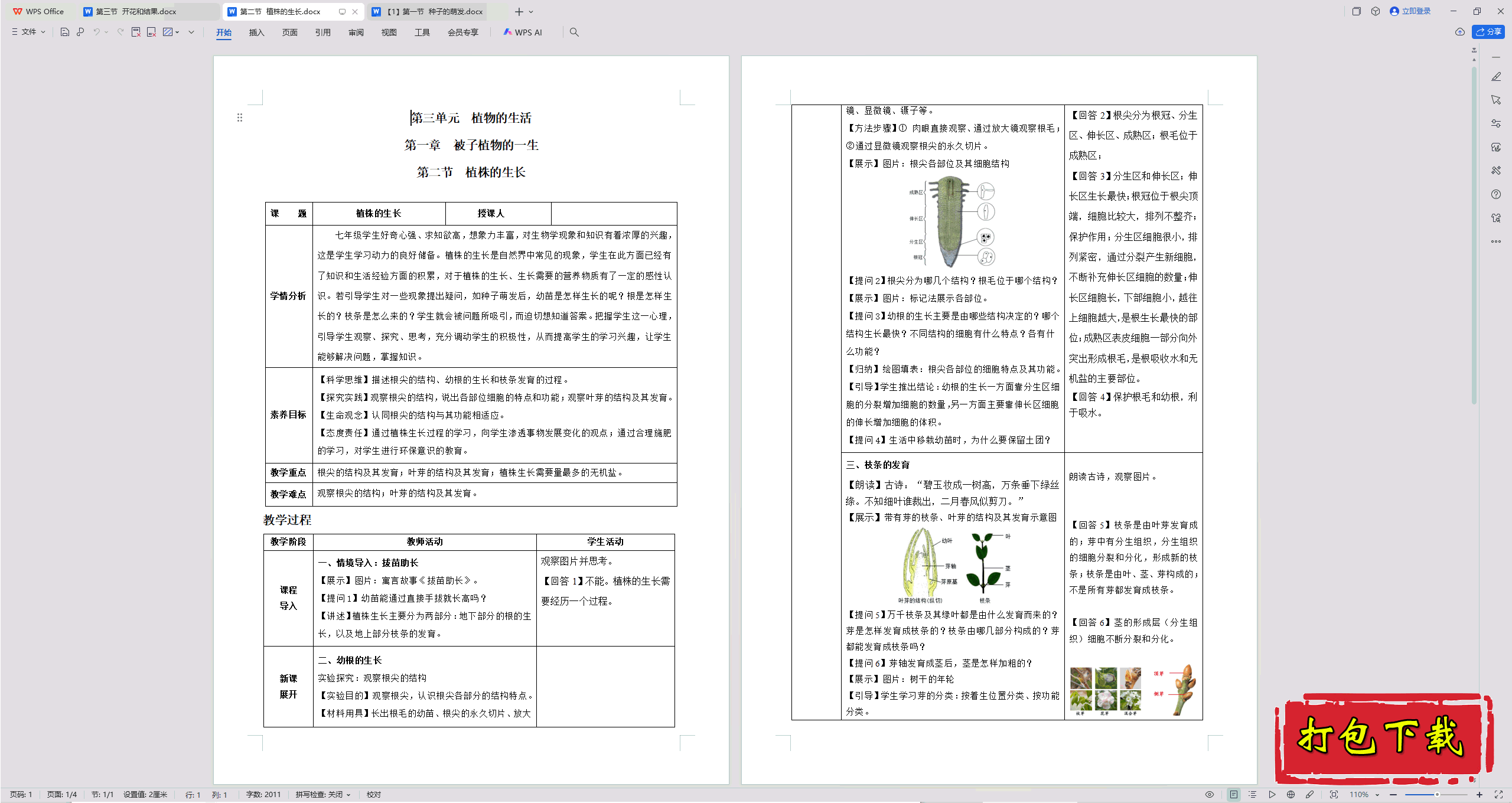 2025人教版《生物学》七年级下册：第二节 植株的生长 教学设计