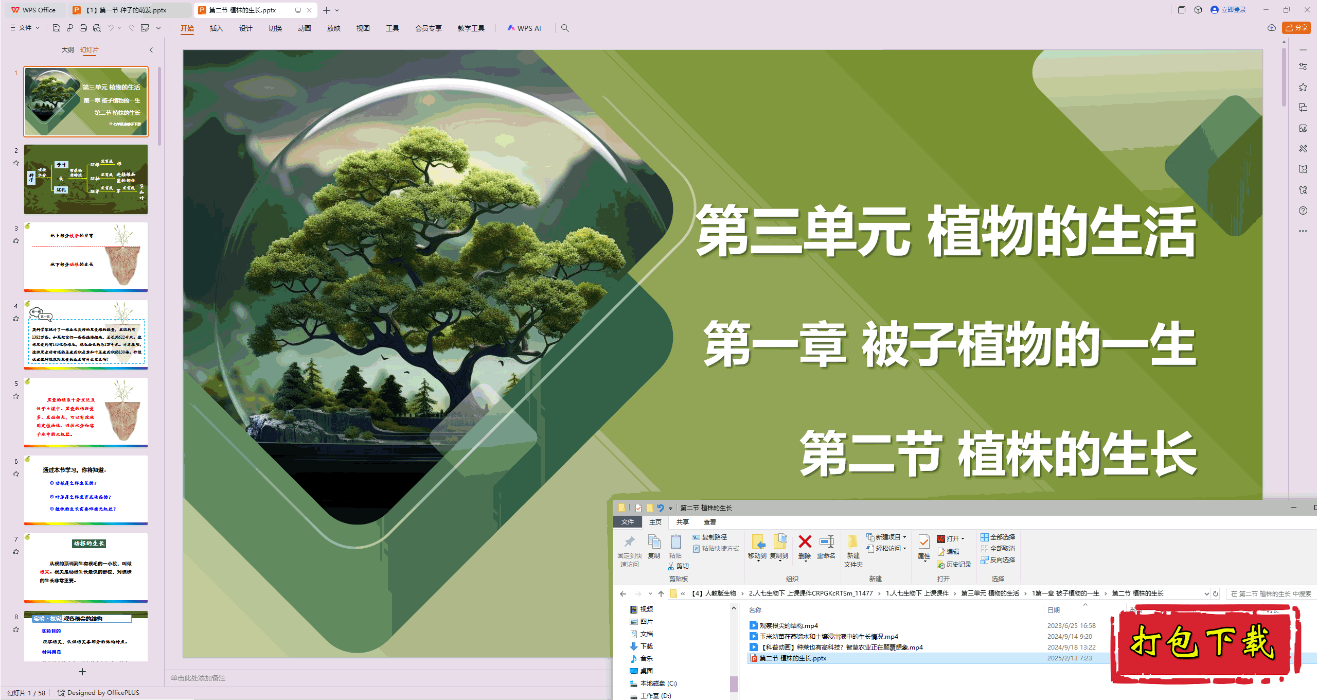 2025人教版《生物学》七下：第二节 植株的生长 ppt课件