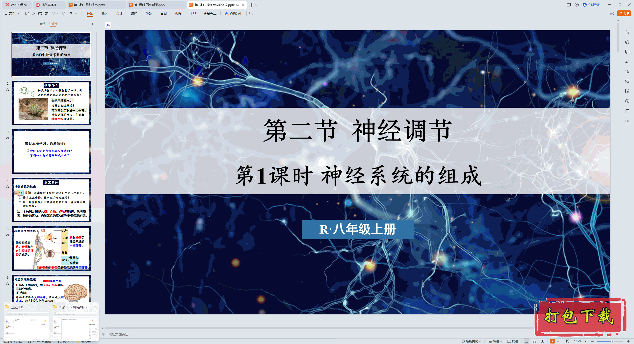 2024人教版生物学八上：第1课时 神经系统的组成 ppt课件+素材