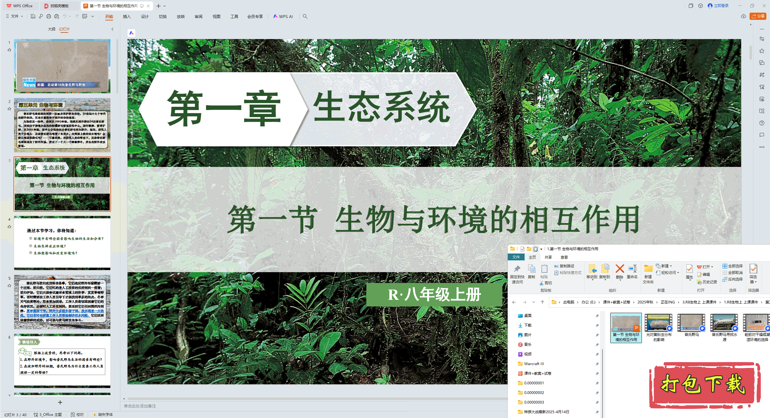 2024˽̰ѧϣһ 뻷໥ pptμ