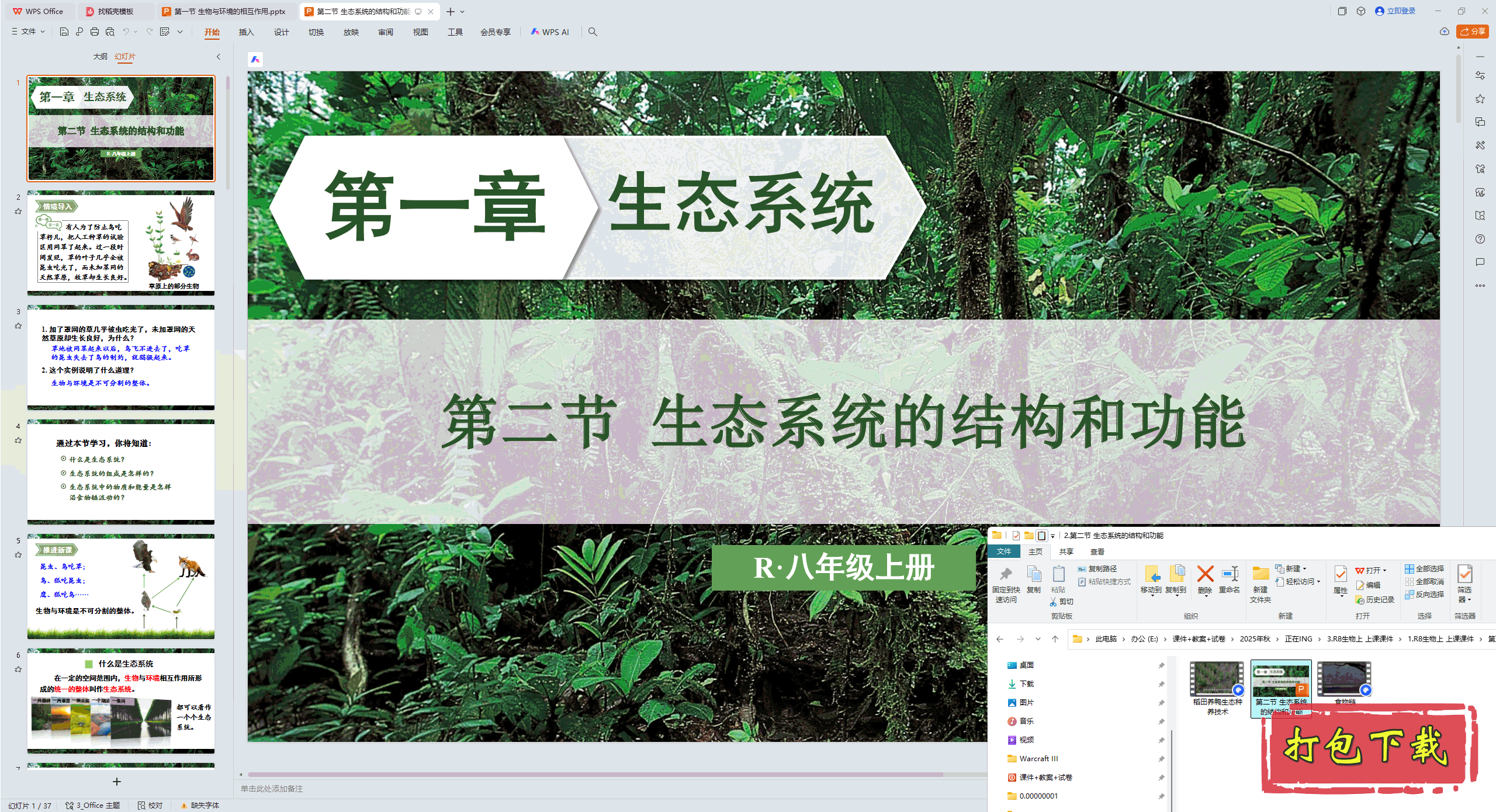 2024˽̰ѧϣڶ ̬ϵͳĽṹ͹ pptμ