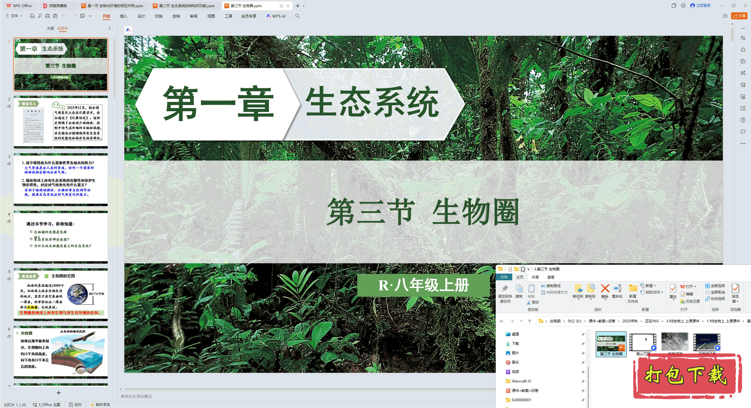 2024ѧϣһ ̬ϵͳ  Ȧ pptμ+ز