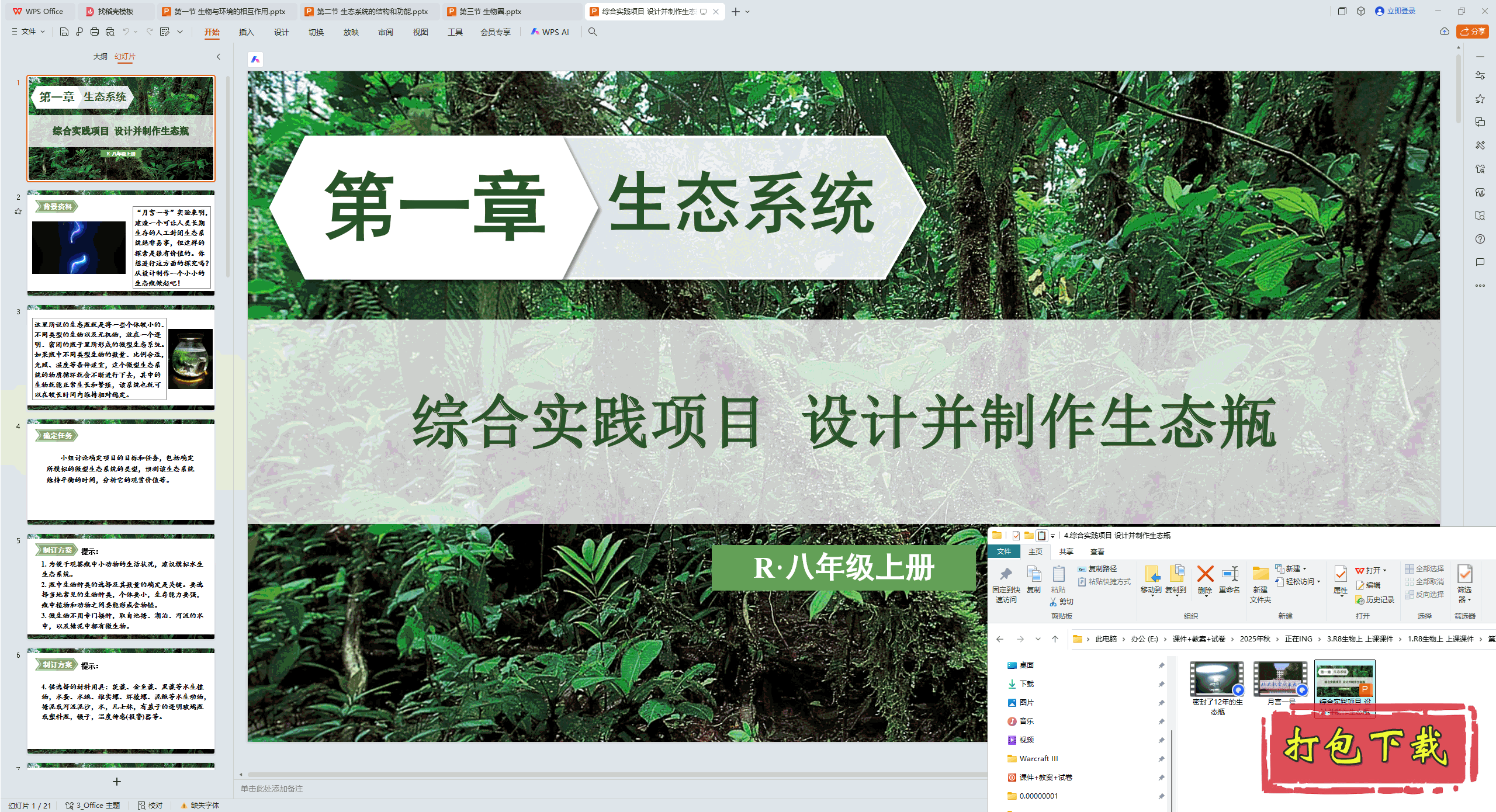 2024˽̰ѧϣۺʵĿ Ʋ̬ƿ pptμ