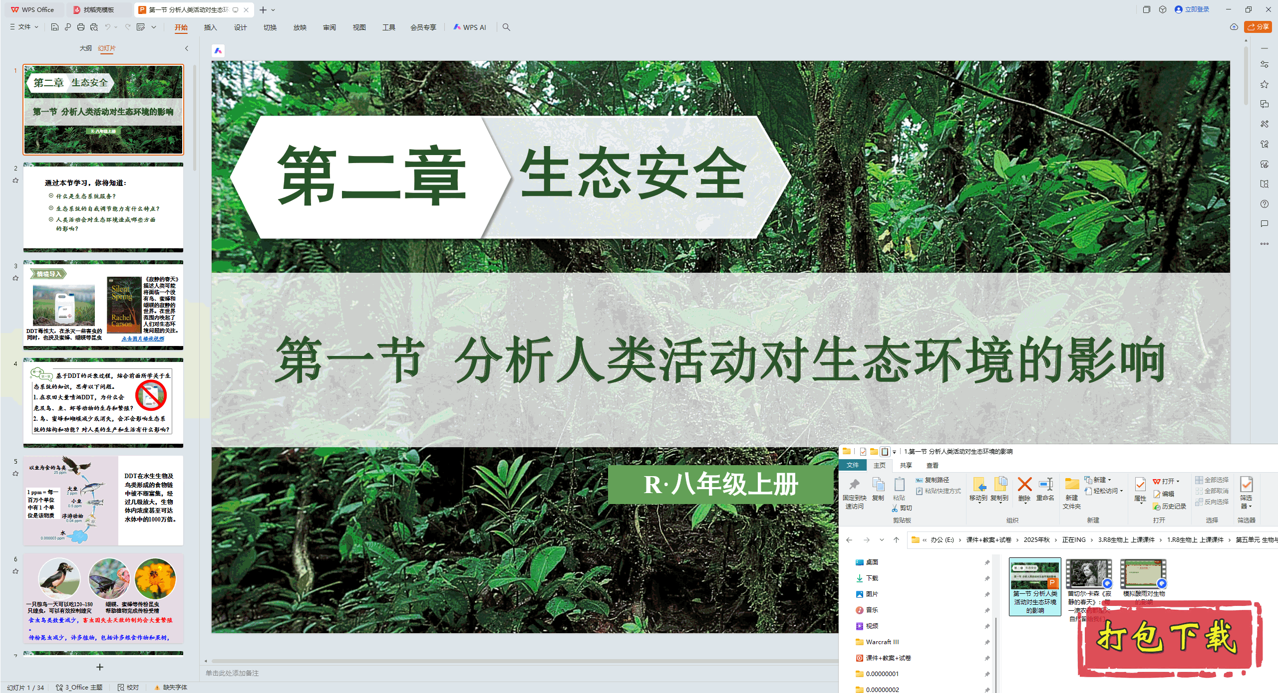 2024˽̰ѧϣ̬Ӱ pptμ